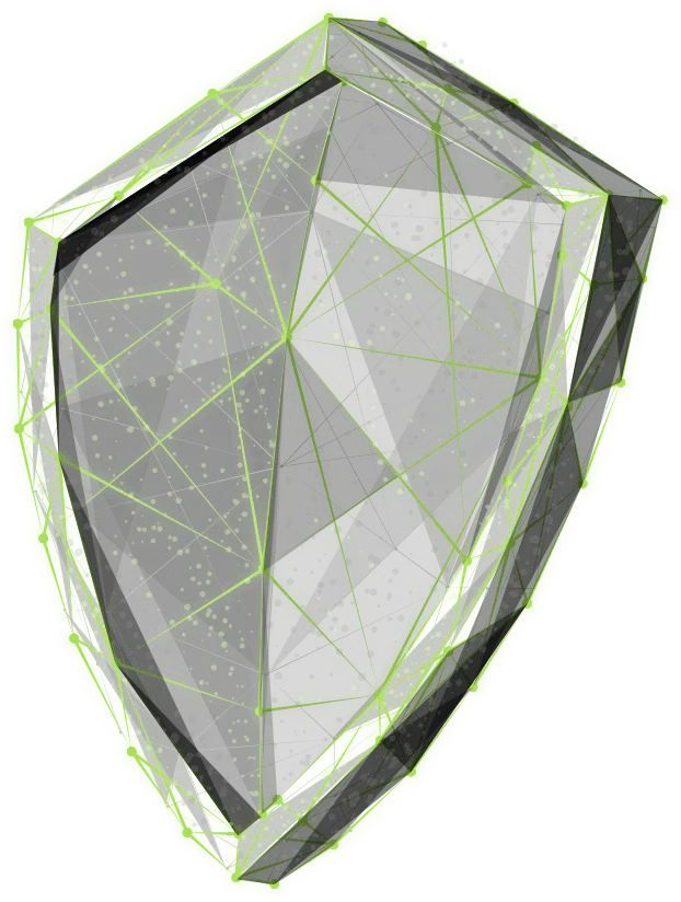 DDoS protection shield