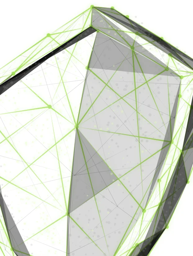 DDoS protection shield