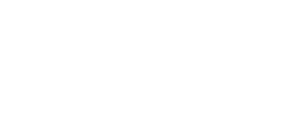 Citadel: Forged with Fire logo